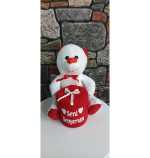 kutulu ayıcık